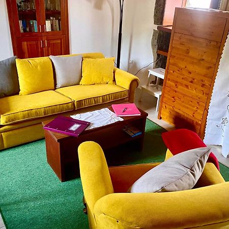 فيلا Quinta Perpetua, Casa Corvo Alto do Sul المظهر الخارجي الصورة