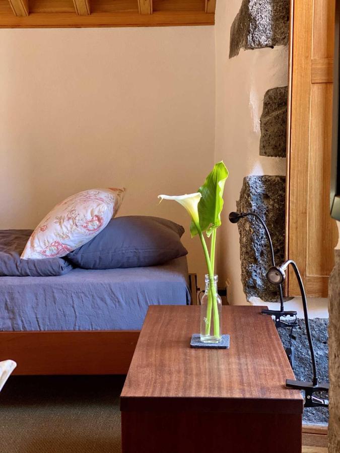 فيلا Quinta Perpetua, Casa Corvo Alto do Sul المظهر الخارجي الصورة