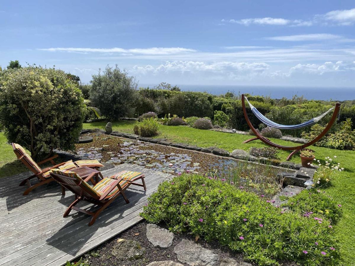فيلا Quinta Perpetua, Casa Corvo Alto do Sul المظهر الخارجي الصورة